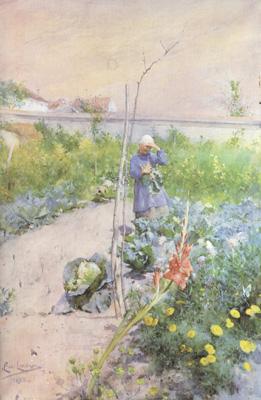 Carl Larsson In the Kitchen Garden (nn2 oil painting picture
